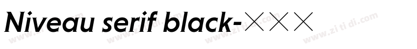 Niveau serif black字体转换